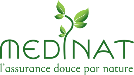 logo medinat